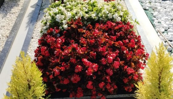 BUKET MEZAR MODELİ HİZMETLERİMİZ